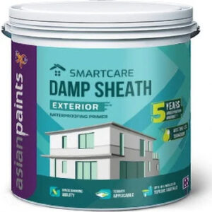 Asian Paints Damp Sheat Exterior