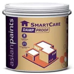 Asian Paints Damp Proof Exterior