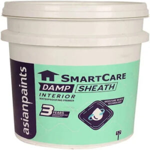 Asian Paints Damp Sheat Interior