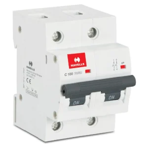 Higher Rating MCB DP 100 A- Havells