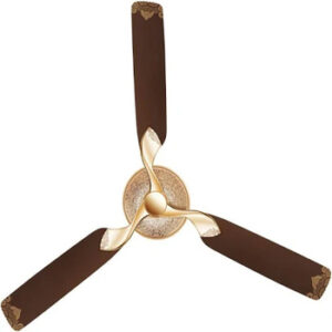 RR Kabel - Jaipur Maharaja - Tan Brown