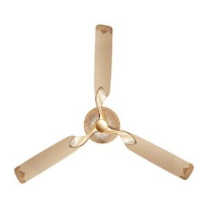 RR Kabel - Jaipur Maharaja - Thar Gold